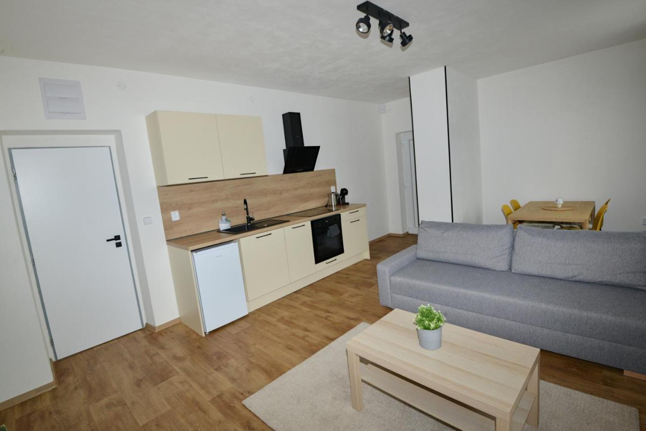 Apartmany U Peslu Zelezna Ruda Bagian luar foto